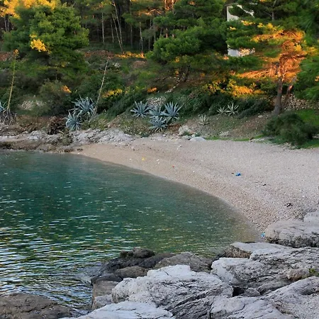 Seaside House - 8902 Casa vacanze