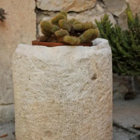 Casa vacanze Seaside House - 8902 Vis