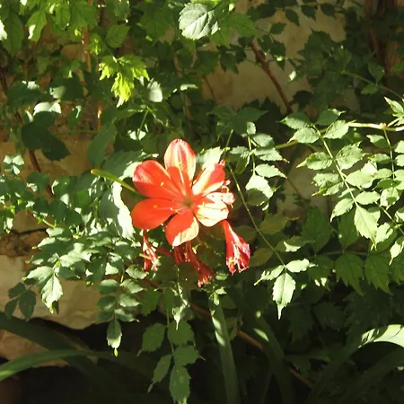 Ferienhaus Seaside House - 8902 Vis