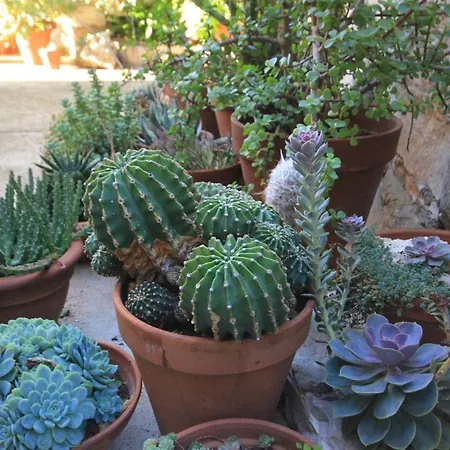 Seaside House - 8902 別荘